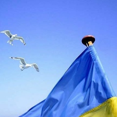 Александра Верещагина, Киев