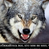 Александр Бовкун, 21.01, Днепр (Днепропетровск)