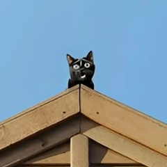 Игнат Утин
