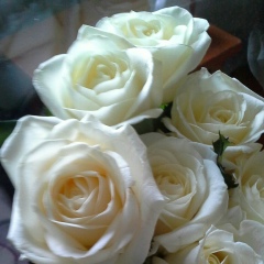 Айжан Мухаметжан, Павлодар