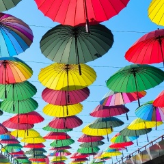 Екатерина Кочурова, 25.05