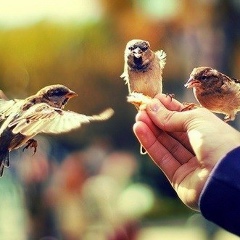 Дамир Гильманов, 03.11.1987, Москва