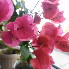 Татьяна Кулакова, Актау