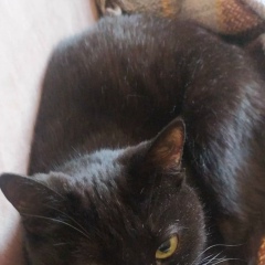 Марина Цветкова, 30.04, Алматы