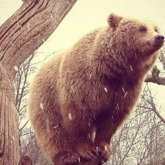 Олег Кактус, 18.05, Москва