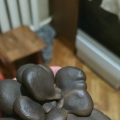 Alexandr Bogdanov, 28.06.1972, Москва