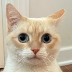 Илья Ковальчук, 12.09.2004