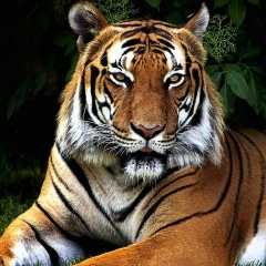 Андрей Лазарев, 30.08, Санкт-Петербург