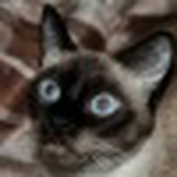 Оксана Белоусова, 23.04, Ростов-на-Дону