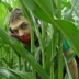 Юрий Столяров, 15.07, Санкт-Петербург