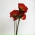 Павел Гупалов, 16.04.1988, Москва