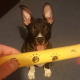 Ваня Ваня, 11.01, Мирный