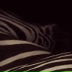 The Palette, 09.02