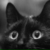 Айбек Молдашов, 06.09.1993, Алматы
