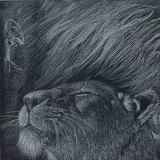 Константин Распутный, 15.02.1984