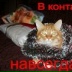 Кот Масик, 17.12.1980, Санкт-Петербург