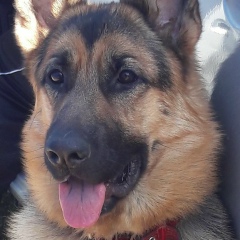 Лена Иоселиани, 18.03.1990, Москва