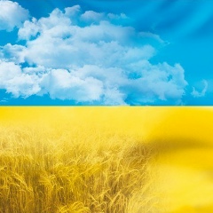 Владимир Чередниченко, 29.06.1988, Киев