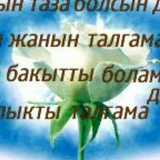 Алмас Даулет-Улы