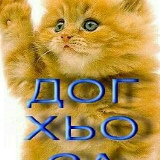 Мадина Мадина