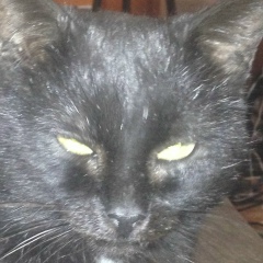 Вова Мокряк, 15.04.1987, Первомайск