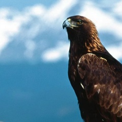 Надежда Меньшикова, 25.01, Санкт-Петербург