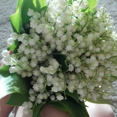 Марина Белевич, 16.05, Минск