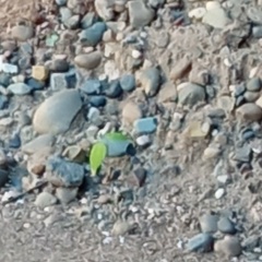 Ильдар Фаидович М, 19.01.1988