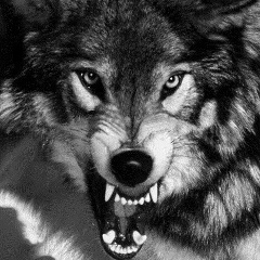 Ansat Omarov, 23.05, Алматы