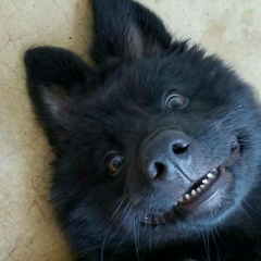 Тимур Миндаров, 13.09, Казань