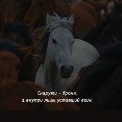 Васиф Джамалов, 27.05, Сургут
