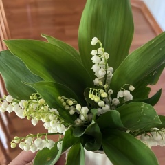 Барно Ибрагимова, 27.08, Новосибирск