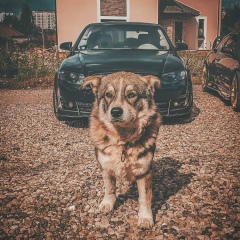 Алексей Соломахин, 27.11