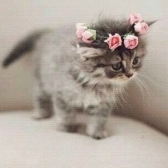 Maria Larionova, 05.02, Алматы