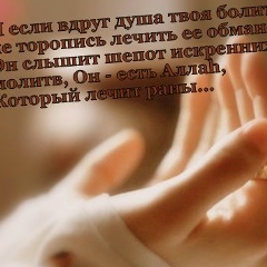 Седа Мадиева, Хасавюрт