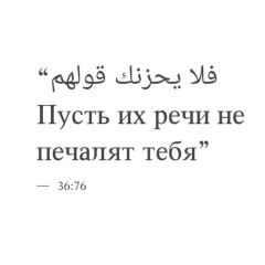 Эльвин Мамедов, 05.06