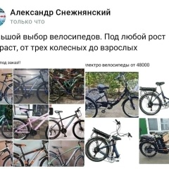 Александр Снежнянский, Донецк