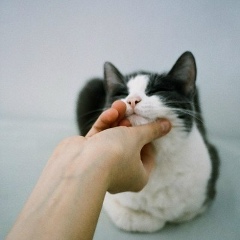 Сергей Groove, 27.05.1994, Москва