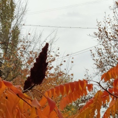 Любовь 
