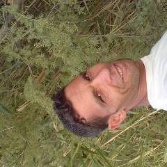 Amin Malik, 24.02.1981, Chlef