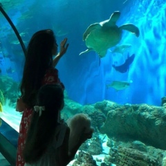 Сабина Мамаева, 14.07