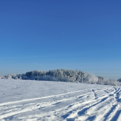 Сергей Лапин, 07.08, Тихвин