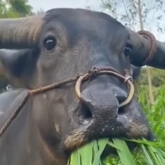 Алексей Юрич, 14.10, Санкт-Петербург