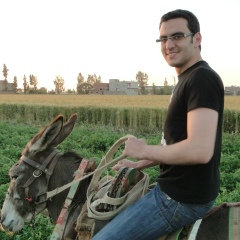 Wael Abdelkhalik, 28.07.1988, Sharm el-Sheikh