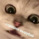Денис К-В, 29.10, Минск
