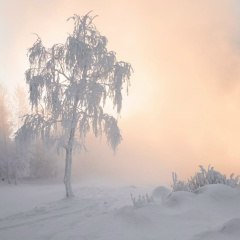 Виктория Горячева, 14.12.2005