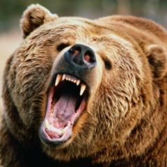 Иван Захаров, Челябинск