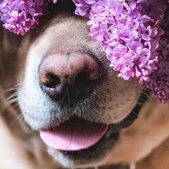 Алёна Шаповалова, 11.02.1986, Екатеринбург