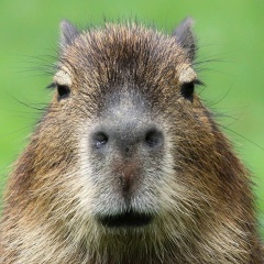 Вячеслав Финаков, 06.04.1988, Москва