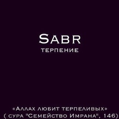 Марат Мамаев